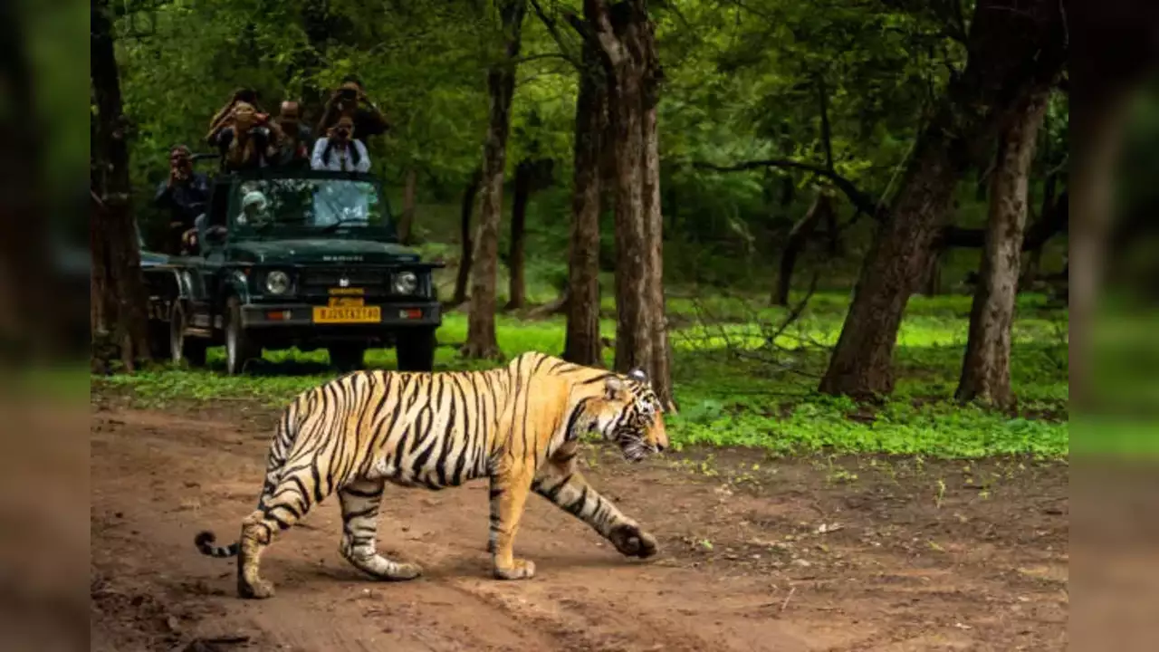 Tour Del Triangulo dorado con Ranthambore 8 Días